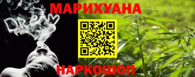 дмт Аргун