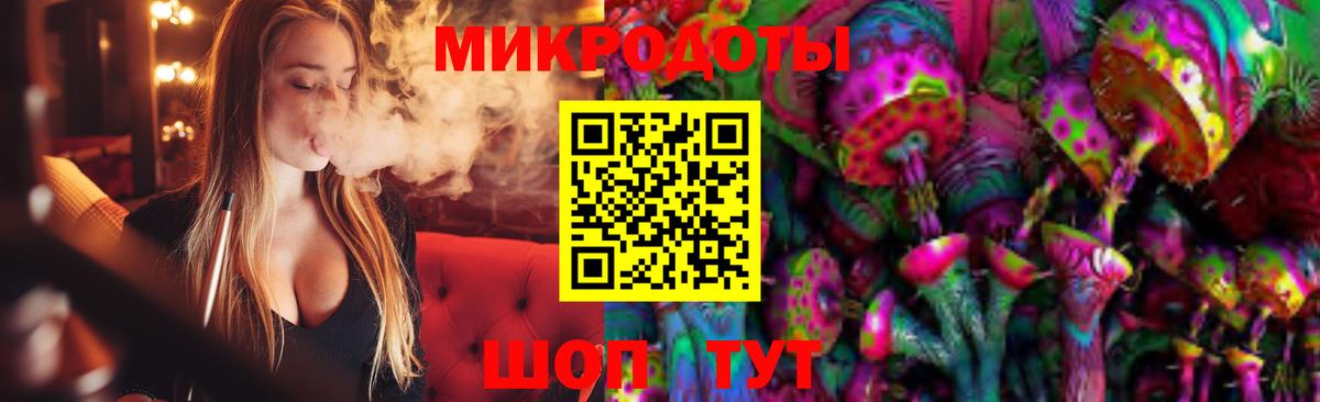Псилоцибиновые грибы Psilocybe Выборг