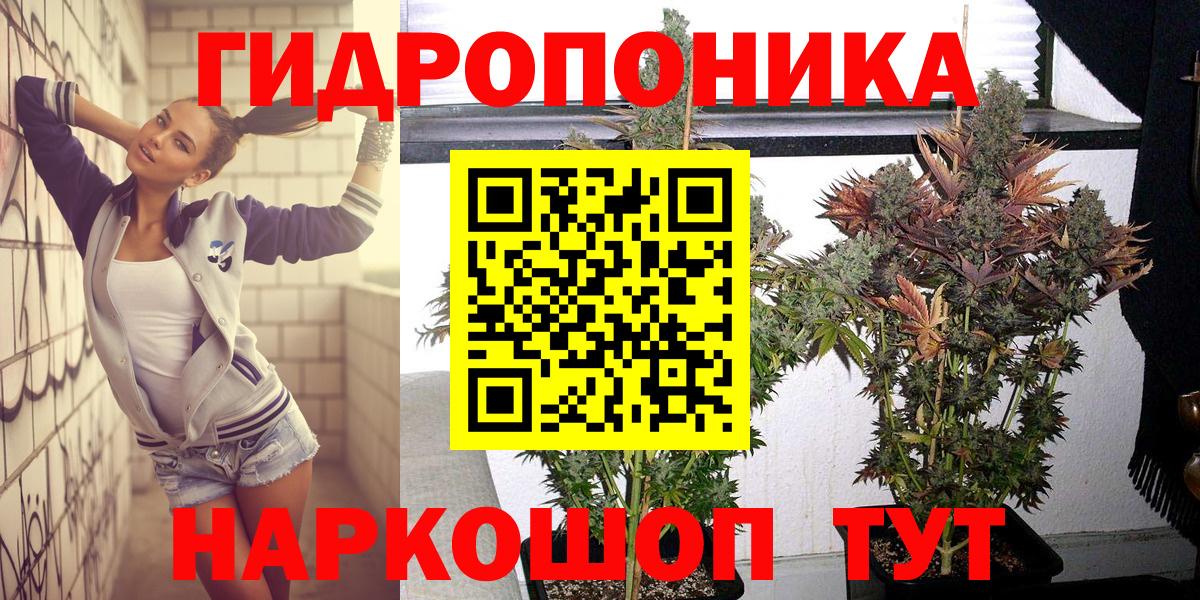 Шишки марихуана MAZAR  Каннабис план  Бошки Шишки White Widow  Вход с VPN  Выборг  Каннабис Amnesia 